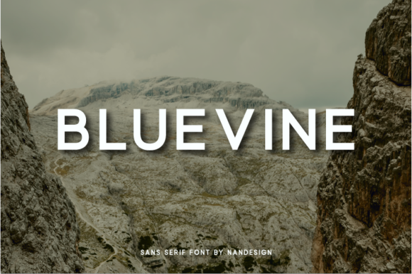Bluevine Font for Modern Brand Identity