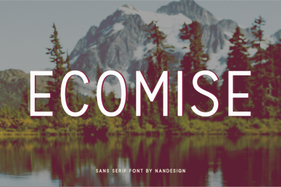 Ecomise: A Versatile Sans Serif Font for Web Design