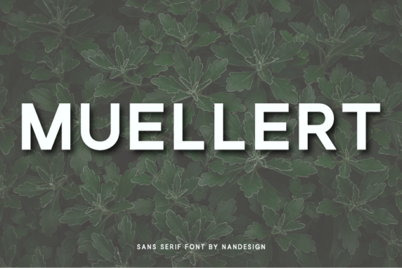 Muellert: A Bold Sans Serif Typeface for Modern Editorial Design