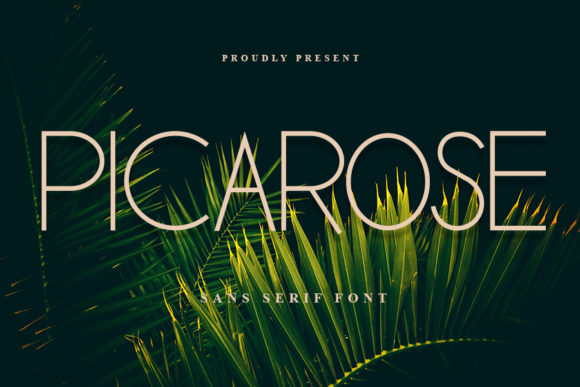 Picarose: A Balanced Modern Typeface for Branding