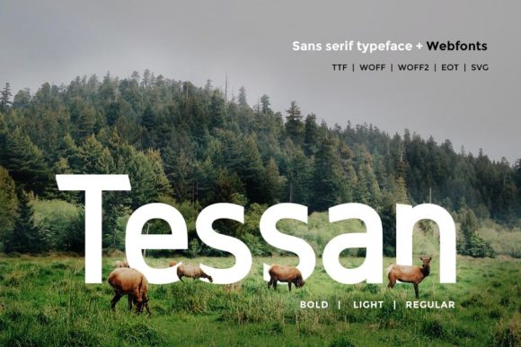 Tessan: A Modern Sans Serif Font for Branding