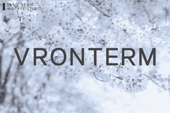 Vronterm: A Clean Sans Serif Typeface for Modern Editorial Design